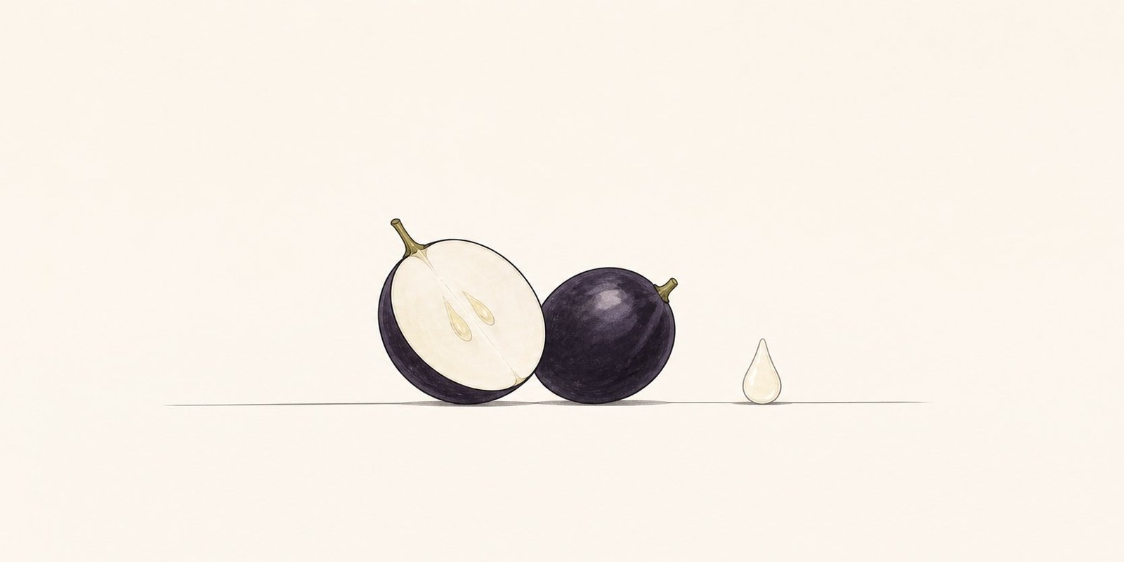 Raisin noir coupé révélant une chair claire, à côté d'une goutte de jus transparent