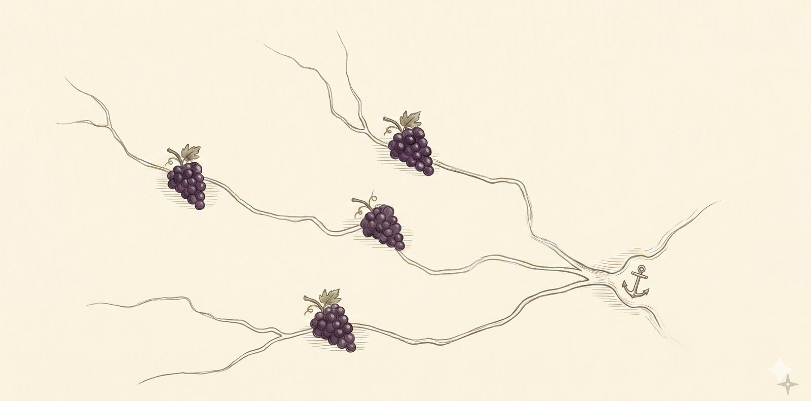 Illustration : grappes de raisin reliées par les rivières à une ancre, le port de Bordeaux