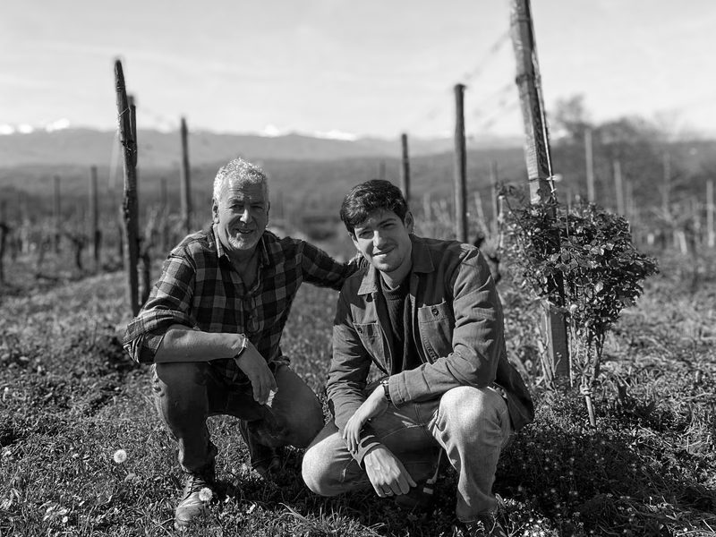 Jean-Michel et Lucas dans les vignes